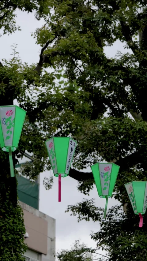 Green Lanterns Swaying in Wind Among Trees vertical video Видео 336786429