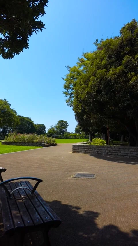 Green Lawn and Trees at Nogeyama Park in Yokohama under Clear Blue Sky 動画素材 345552947