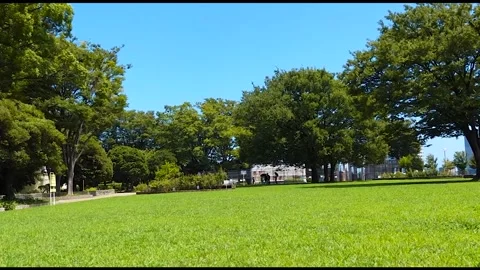 Green Lawn and Trees at Nogeyama Park in Yokohama under Clear Blue Sky Stock Footage 345552963