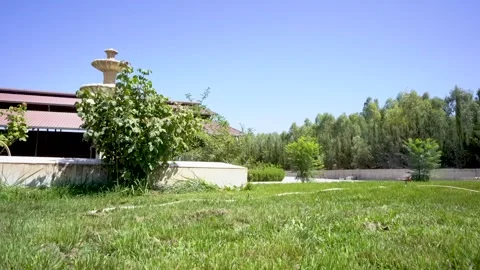 Green lawn and trees outside a building under a blue sky Stock Footage 340519981