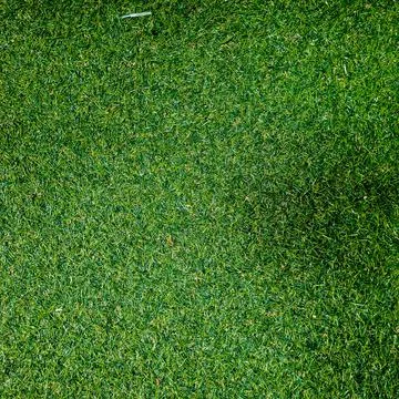 Green lawn background with rustic texture Stock Photos