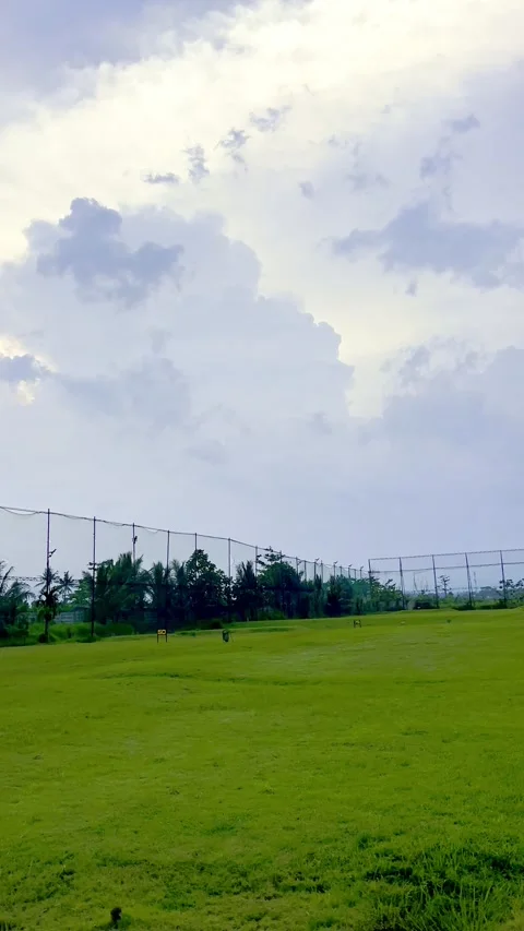 Green lawn beneath cloudy sky in vertical view Stock Footage 335430818