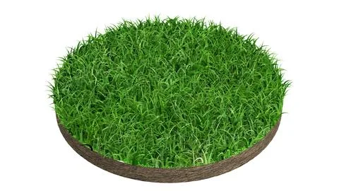 Green lawn circle on white background,3d rendering Stock Illustration