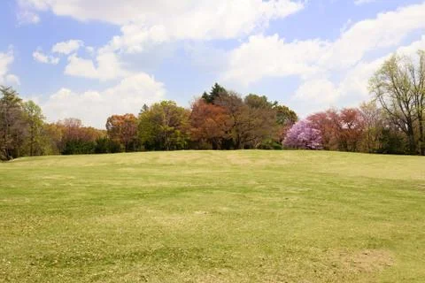 Green lawn field with colorful trees Stock Photos