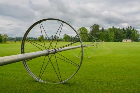Green lawn with irrigation system over the field on cloudy summer day Stock Photos