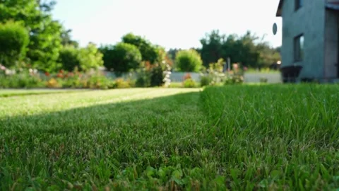 Green lawn low angle near country house with garden and trees in background Stockbeeldmateriaal 342940862
