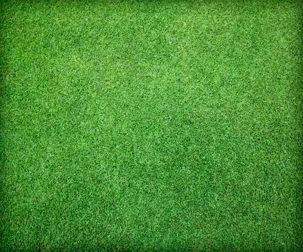 Green lawn Foto stock