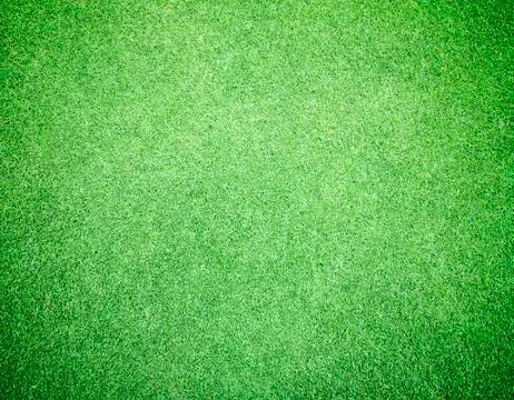Green Lawn Stock Photos