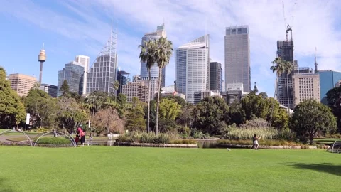 Green lawn in public park of Sydney city facing office towers on sunny day. Stock Footage 137876053