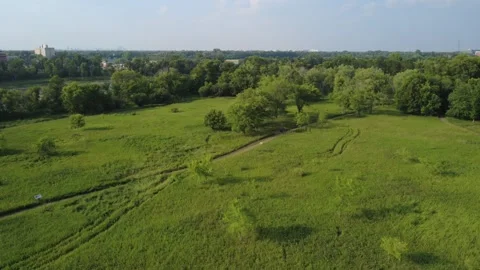 Green lawn site Stock Footage 313712361