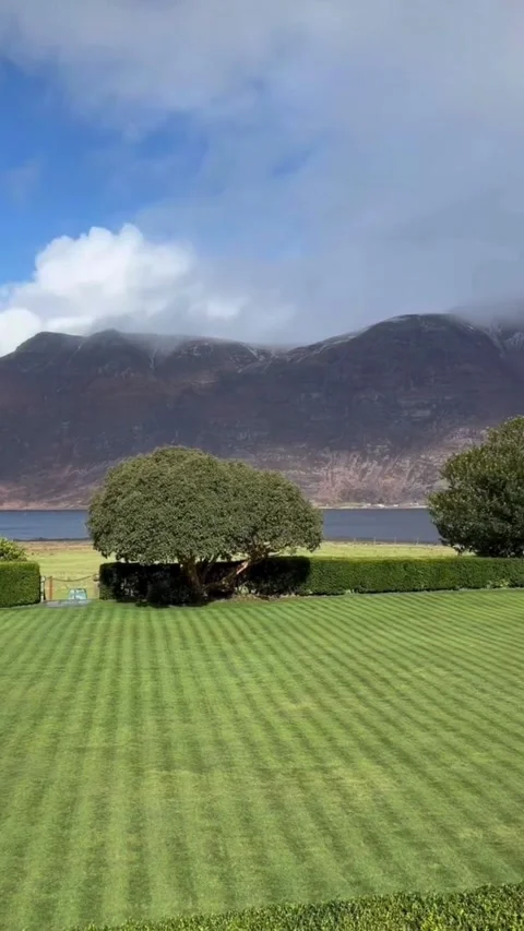 Green Lawn with Tree and Mountain Lake Landscape Stock Footage 331530655