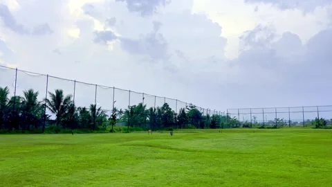 Green lawn under bright cloudy tropical sky Video stock 335430517