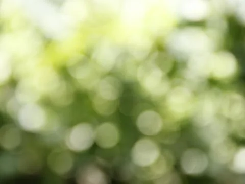 Green layers circle gradient bokeh background Stock Photos