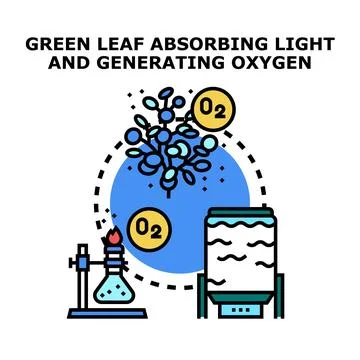 Green leaf absorbing light generating oxygen experiment イラスト素材