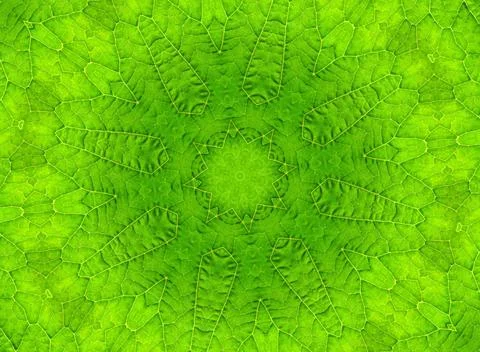 Green leaf abstract pattern Background with abstract pattern from green le... Stock Photos