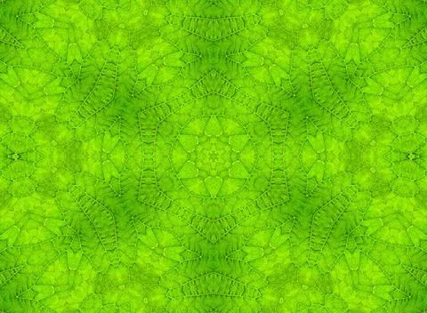 Green leaf abstract pattern Background with abstract pattern from green le... Stock Photos