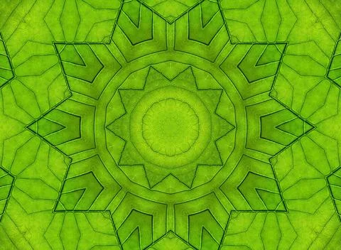 Green leaf abstract pattern Background with abstract pattern from green le... Stock Photos