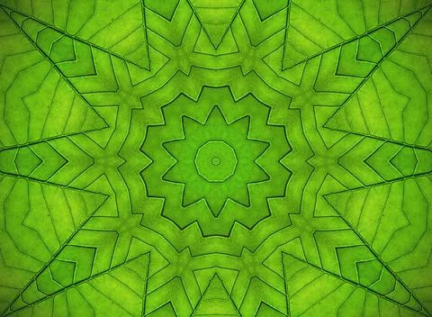 Green leaf abstract pattern Background with abstract pattern from green le... Stock Photos