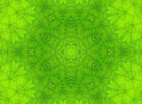 Green leaf abstract pattern Background with abstract pattern from green le... Stock Photos