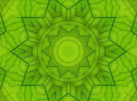 Green leaf abstract pattern Stock Illustration