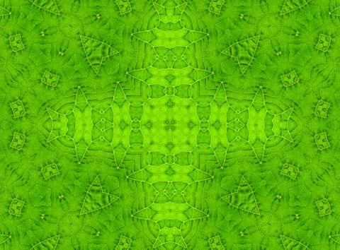 Green leaf abstract pattern Stock Illustration