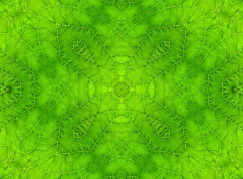 Green leaf abstract pattern Stock Illustration