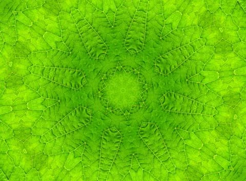 Green leaf abstract pattern Illustrazione stock
