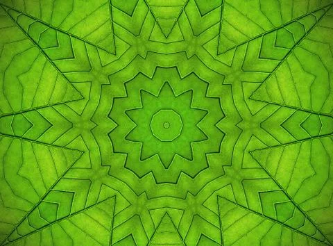 Green leaf abstract pattern Stock Illustration