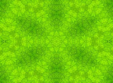 Green leaf abstract pattern Stock Illustration