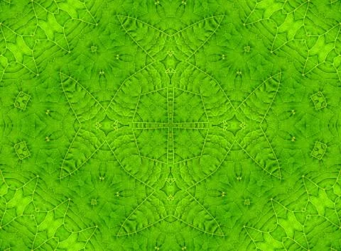 Green leaf abstract pattern Stock Illustration