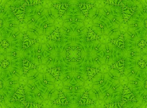 Green leaf abstract pattern Illustrazione stock