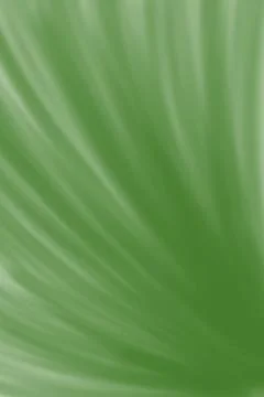 Green Leaf Abstract Texture Background Illustrazione stock