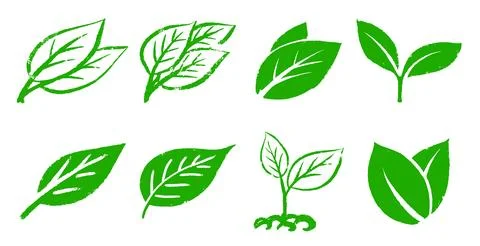 Green leaf and collection of grunge leaves for ecology logo. Simple elements of Stock Illustration