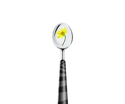 Green leaf and spoon Stock Photos