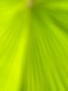 Green leaf background-1 (3) Stock Photos