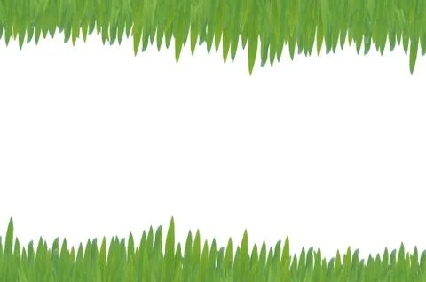 Green leaf background Stock Illustration