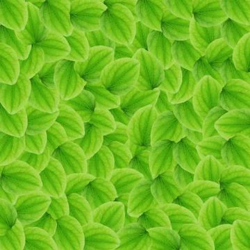 Green leaf background Stock Illustration