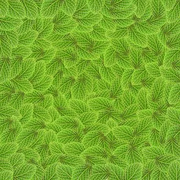Green leaf background Stock Illustration