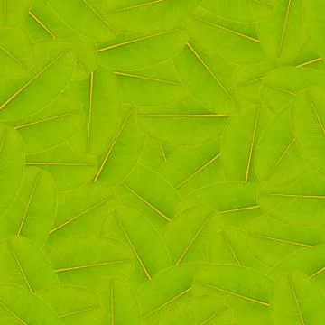 Green leaf background Stock Illustration