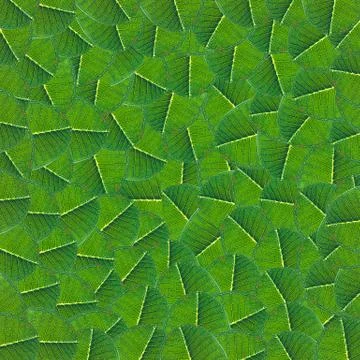Green leaf background Stock Illustration