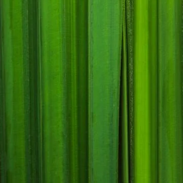 Green leaf background Stock Photos