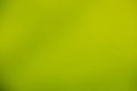 Green leaf background Stock Photos