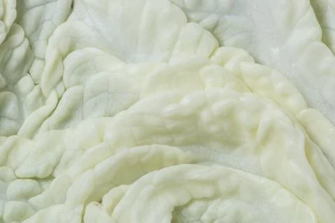 Green leaf background Stock Photos