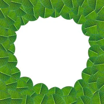 Green leaf background, space for text Stock Illustration