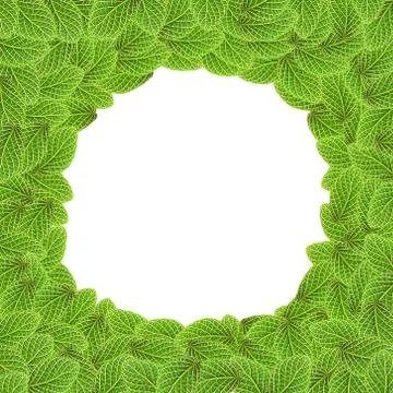 Green leaf background, space for text Stock Illustration