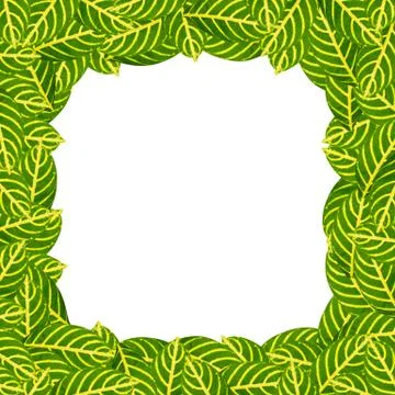 Green leaf background, space for text Stock Illustration