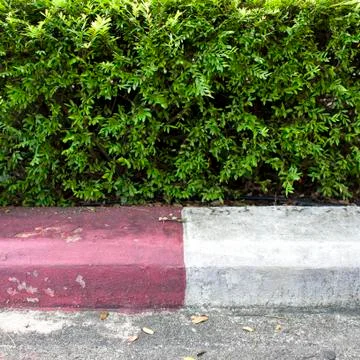 Green leaf background texture with red and white sign on road Фото