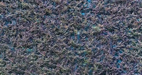 Green leaf background for your design. Close up Stock Photos