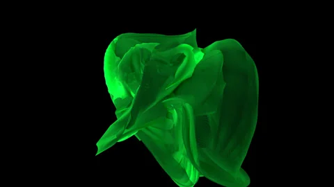 Green leaf on black background Video stock 243446960