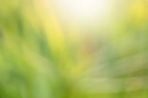 Green leaf blur background Stock Photos